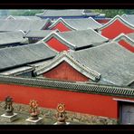 roofs of the forbidden city