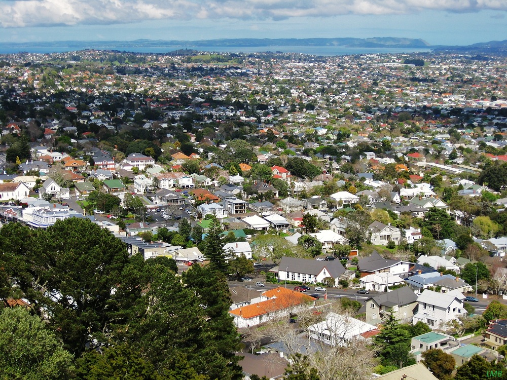 Roofs sea in Auckland