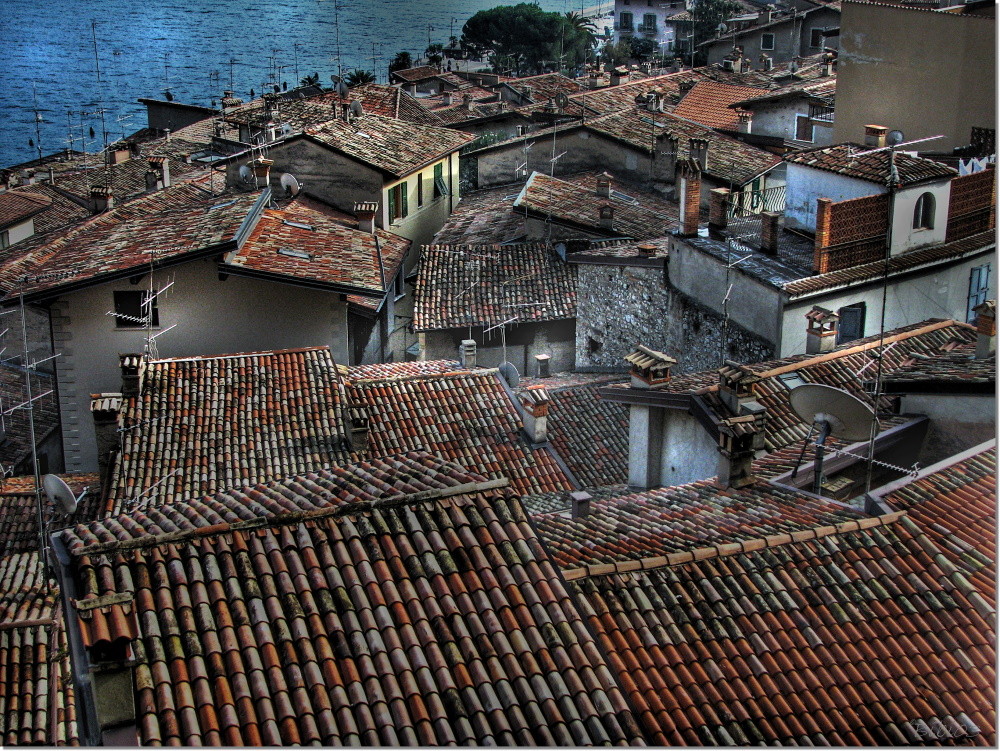 roofs ( Variante in Farbe)