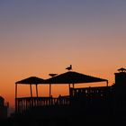 rooftop- Sunset in Morocco