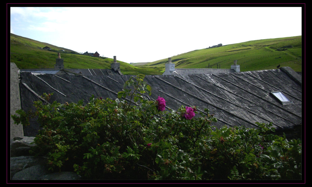 rooftops