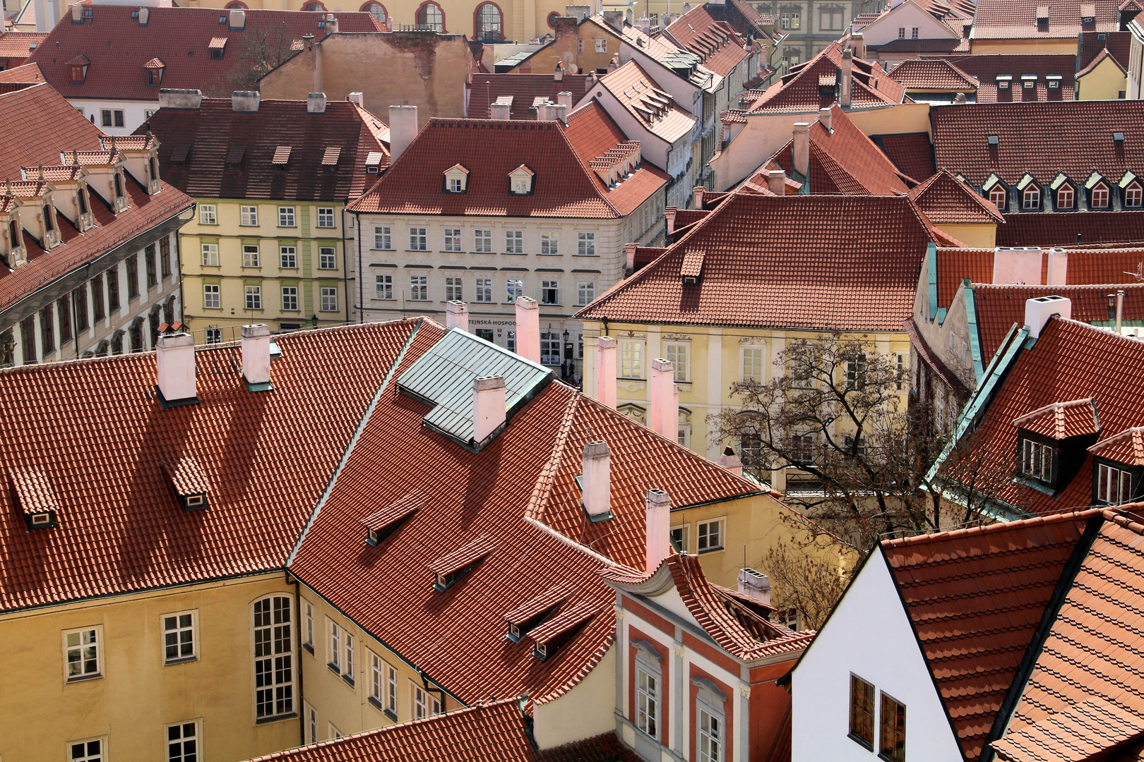 rooftops