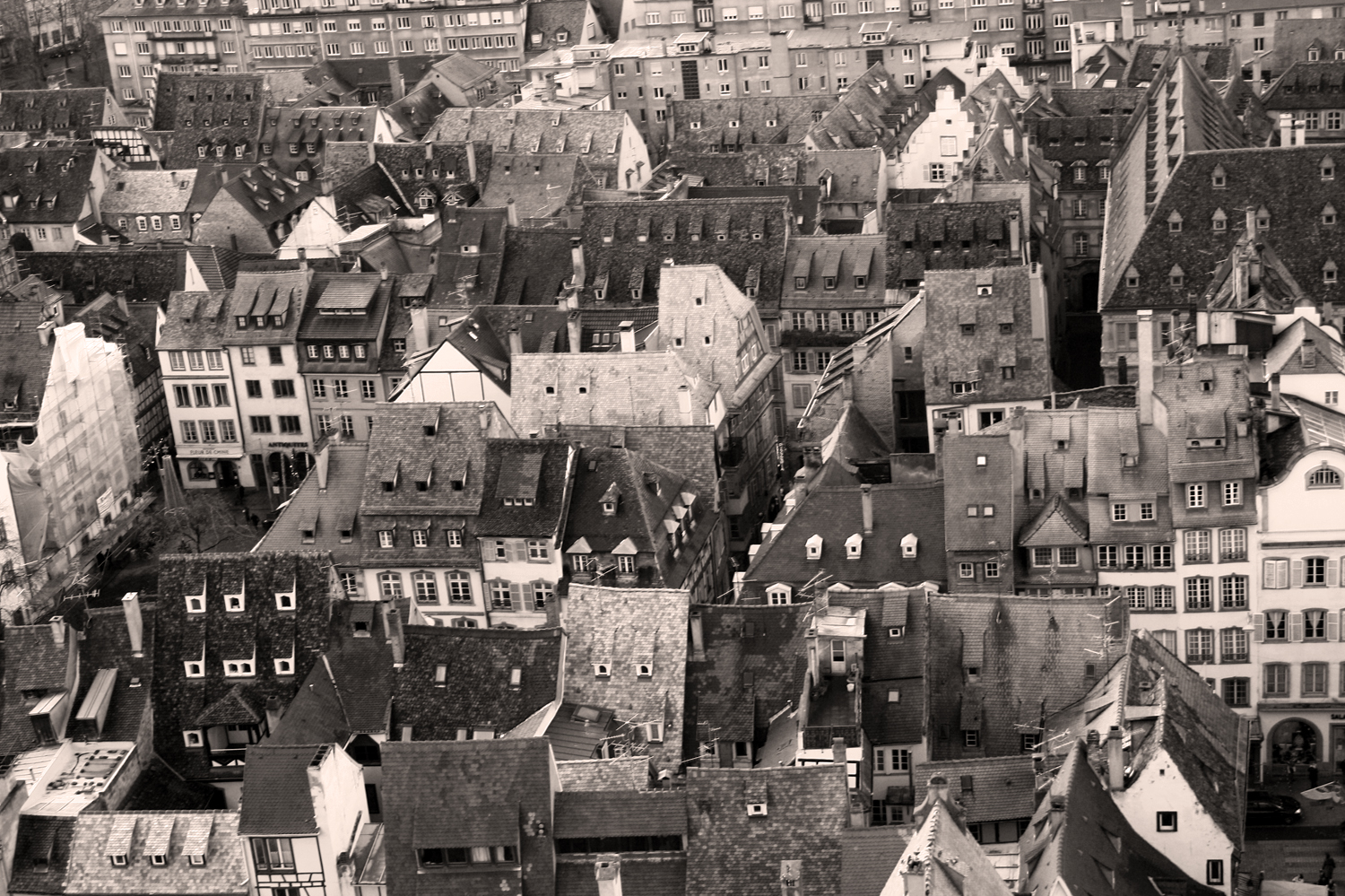 rooftops over strasbourg