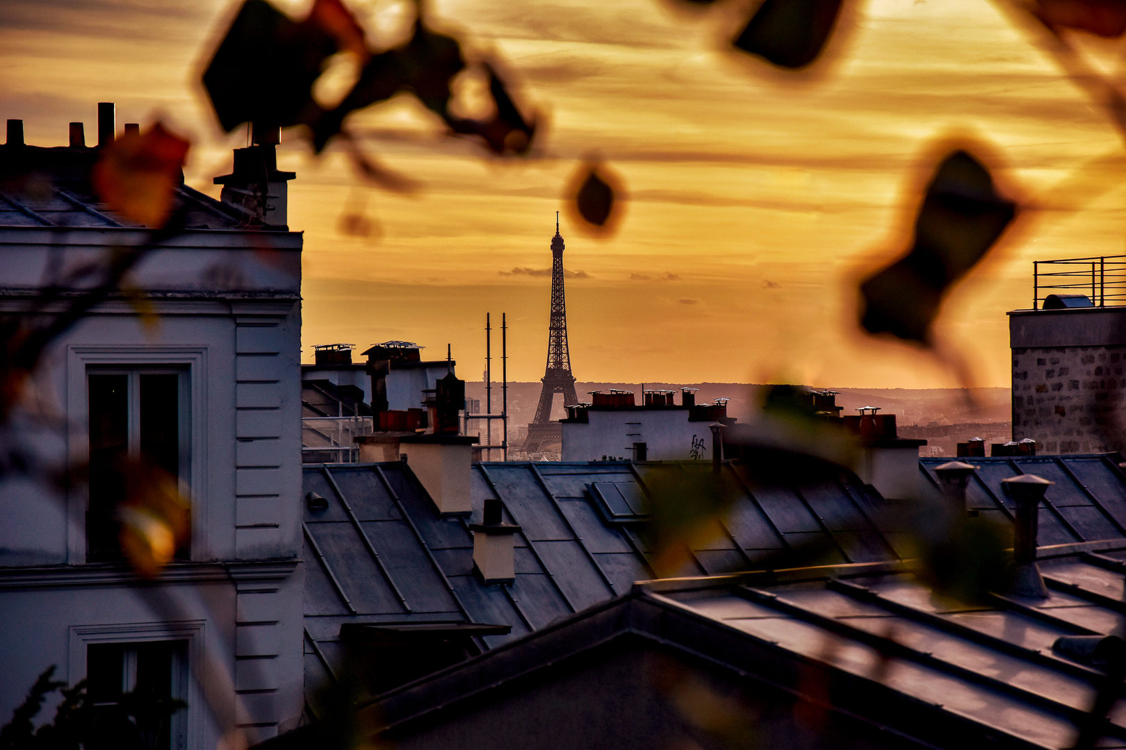 Rooftops Paris