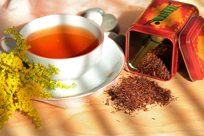 Rooibos