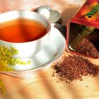 Rooibos