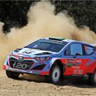 Rookie Hayden Paddon