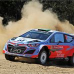 Rookie Hayden Paddon