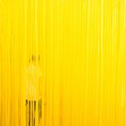 room, yellow, person