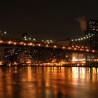 Roosevelt Island