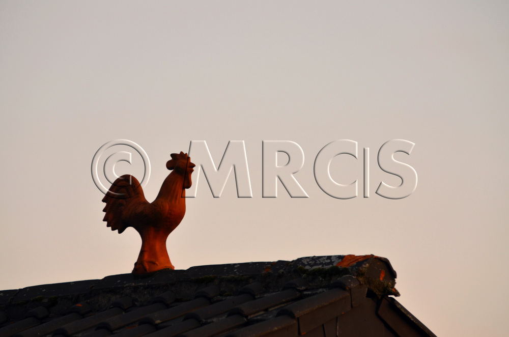 rooster on the roof