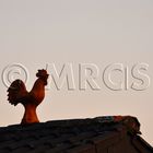 rooster on the roof