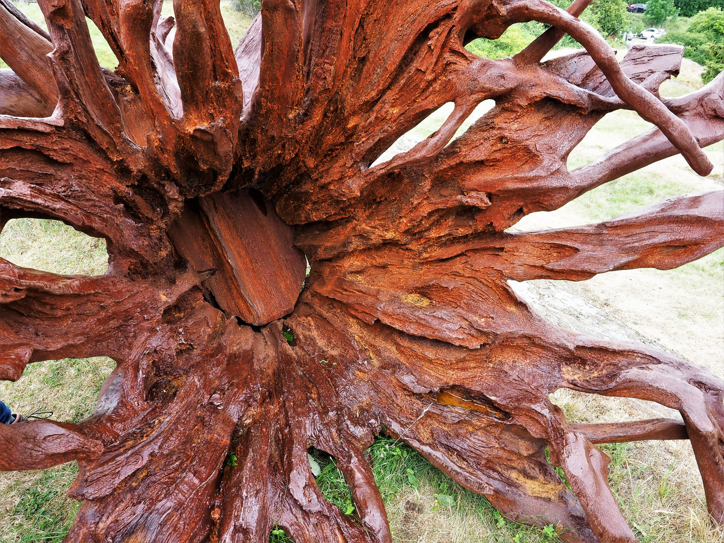 Roots - Skulpturen von Ai Weiwei