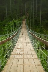 rope bridge