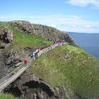 Rope Bridge