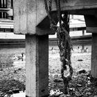 Rope hanging from pier