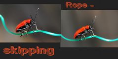 Rope - skipping .....