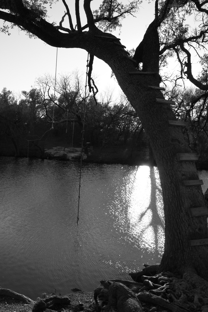 Rope Swing