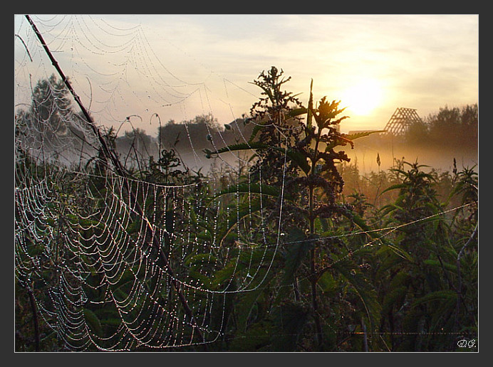 Rope with the first morning light