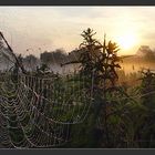 Rope with the first morning light