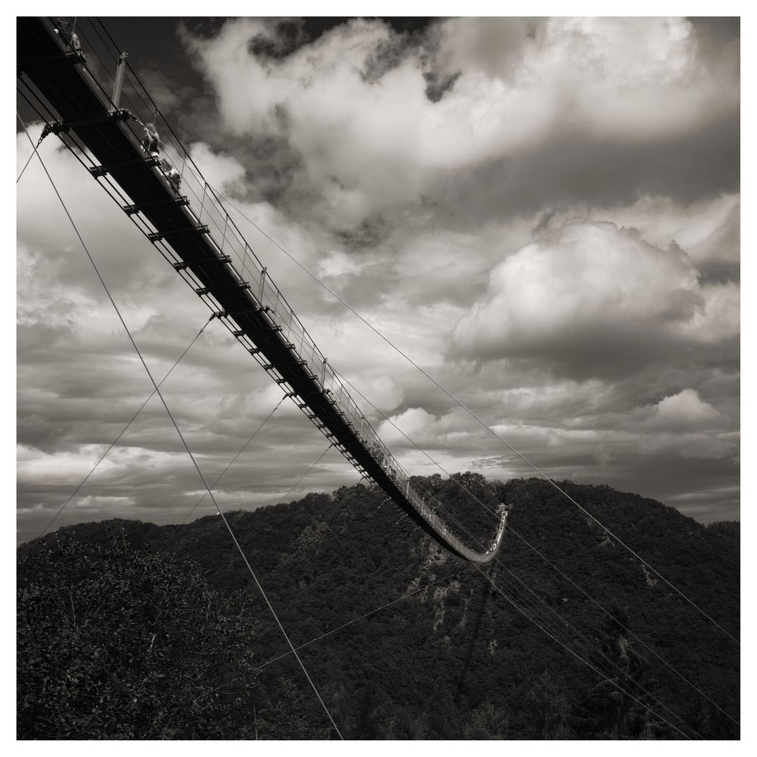 Rope_Bridge_BW