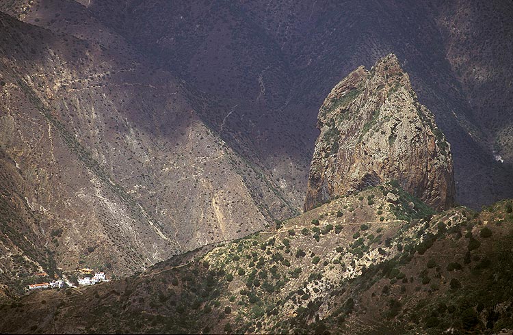 Roque Cano