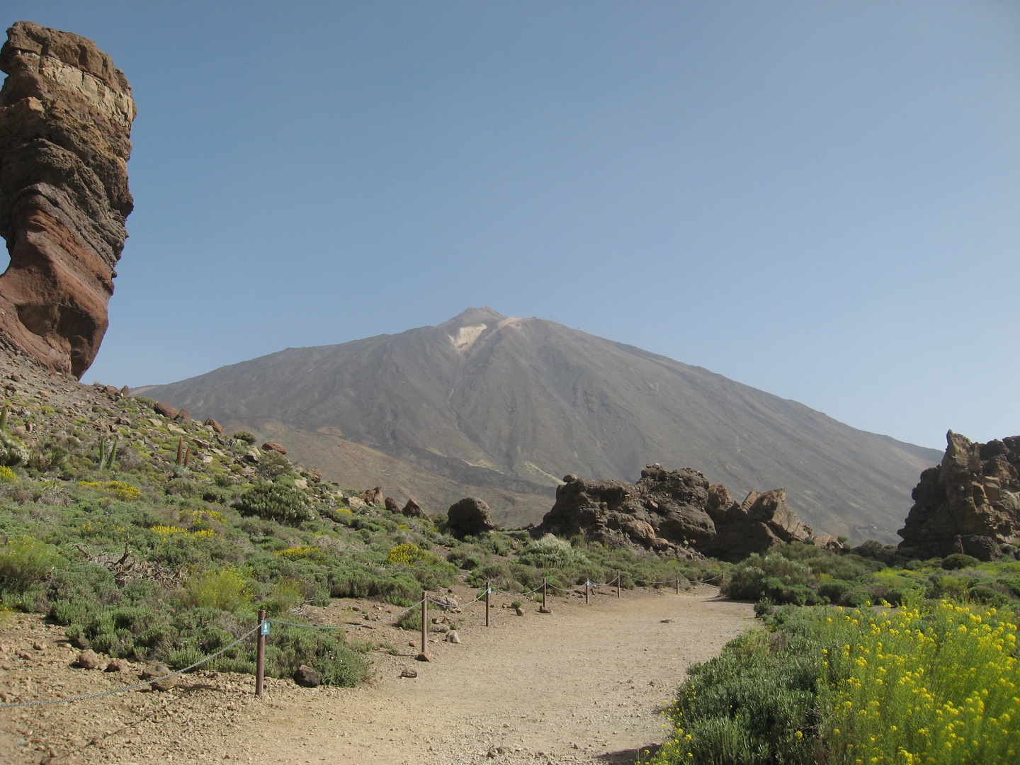 roque cinchado schaut auf teide