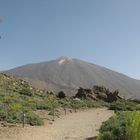 roque cinchado schaut auf teide