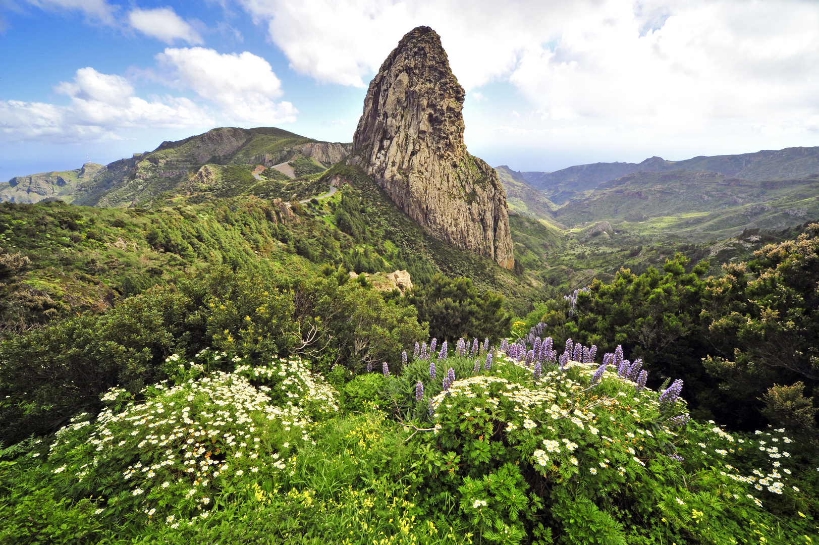 Roque de Agando