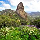 Roque de Agando