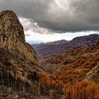 Roque de Agando