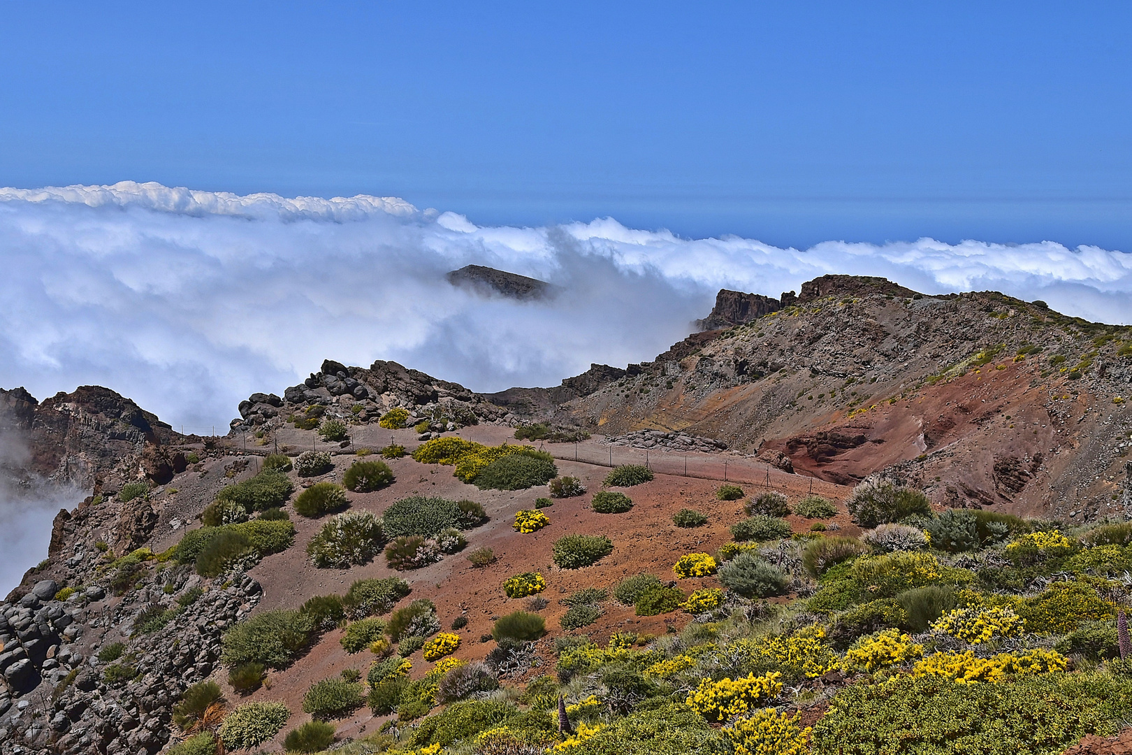 Roque de los Muchachos