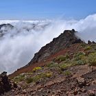 Roque de los Muchachos