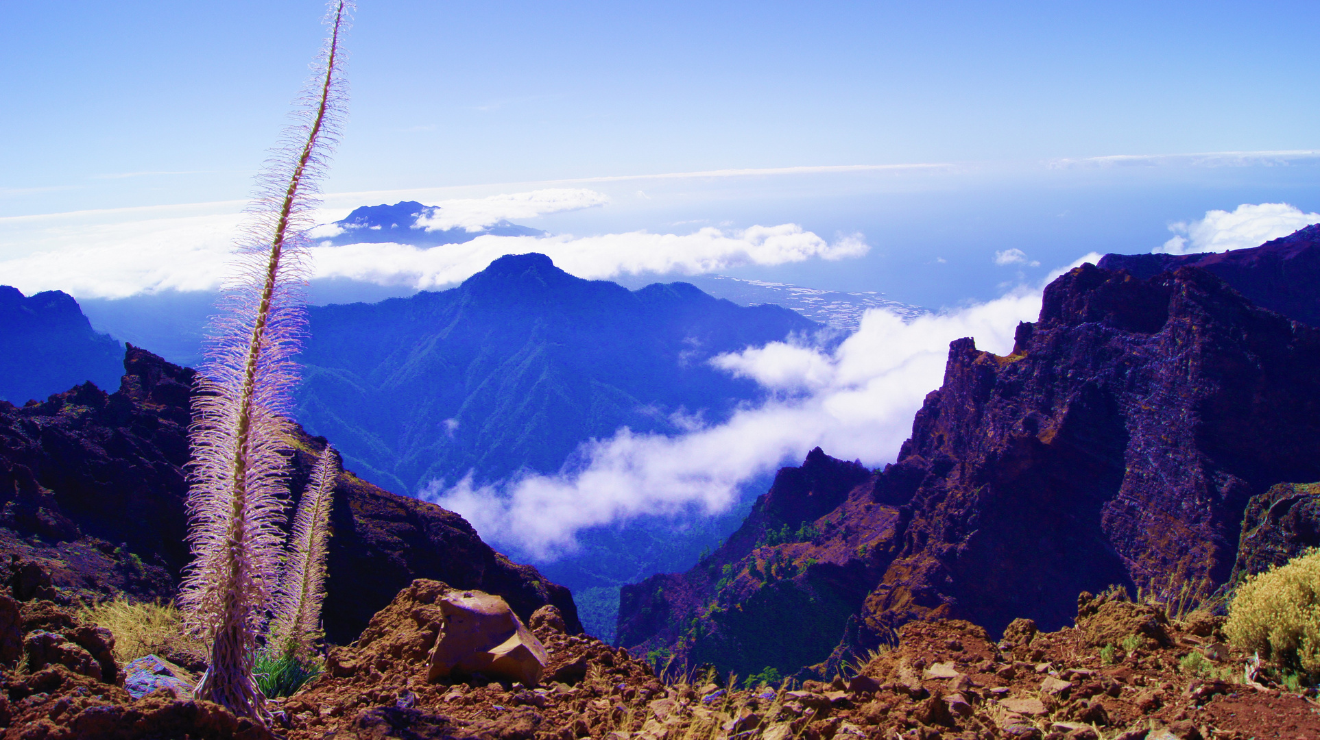 Roque de los Muchachos