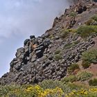 Roque de los Muchachos / La Palma