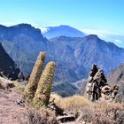 Roque de los Muchachos- la palma