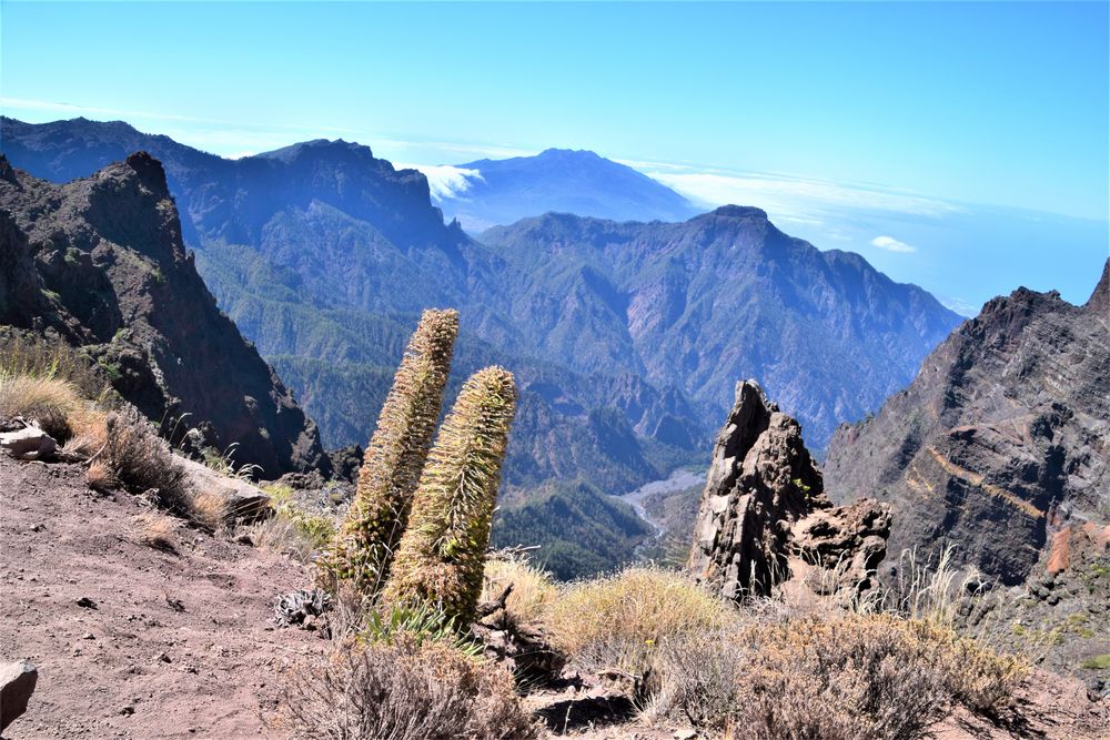 Roque de los Muchachos- la palma