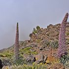 Roque de los Muchachos / La Palma