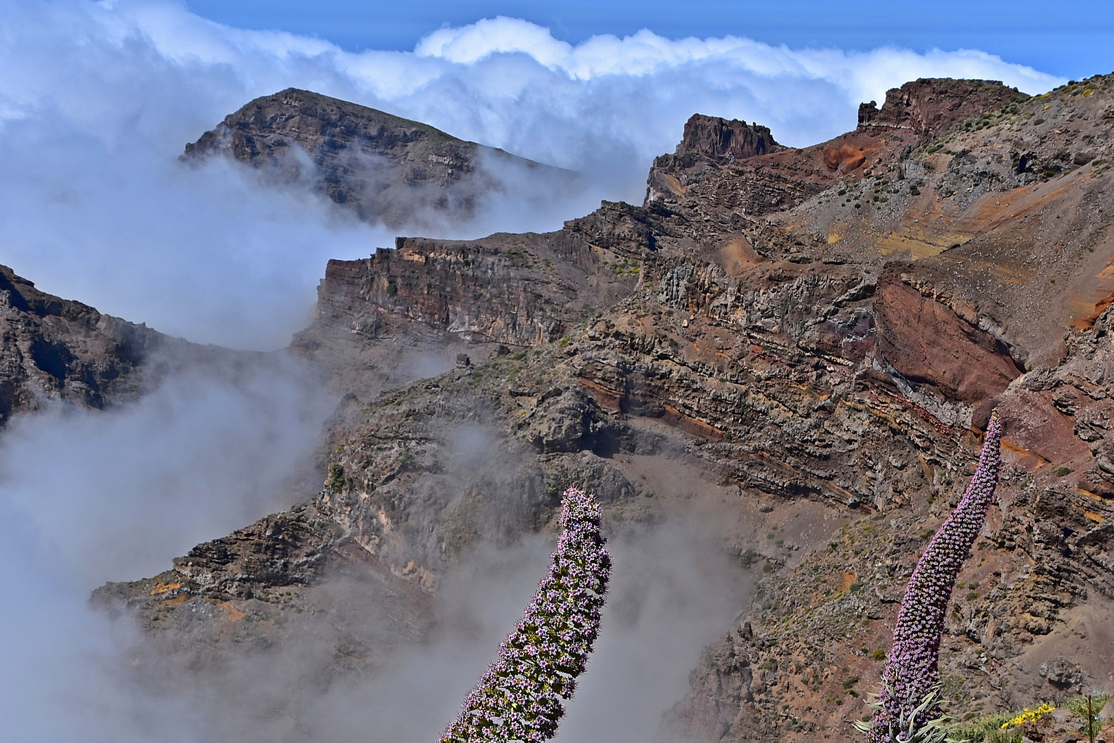 Roque de los Muchachos / La Palma