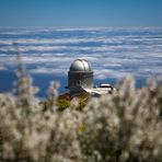 Roque-de-los-Muchachos-Observatorium