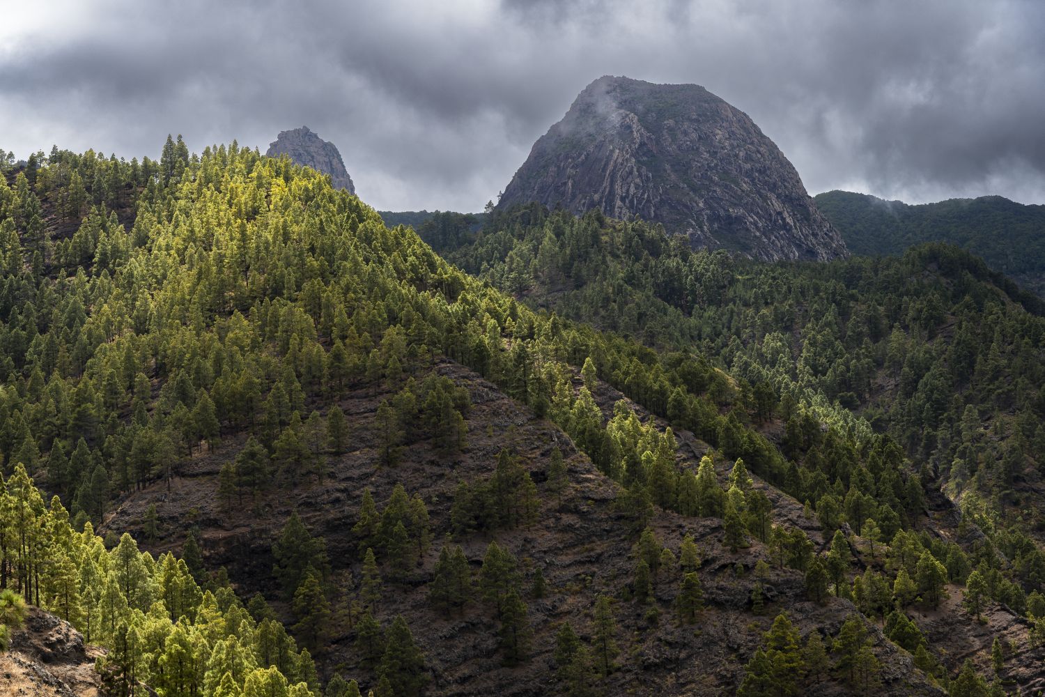 Roque de Ojila