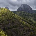 Roque de Ojila