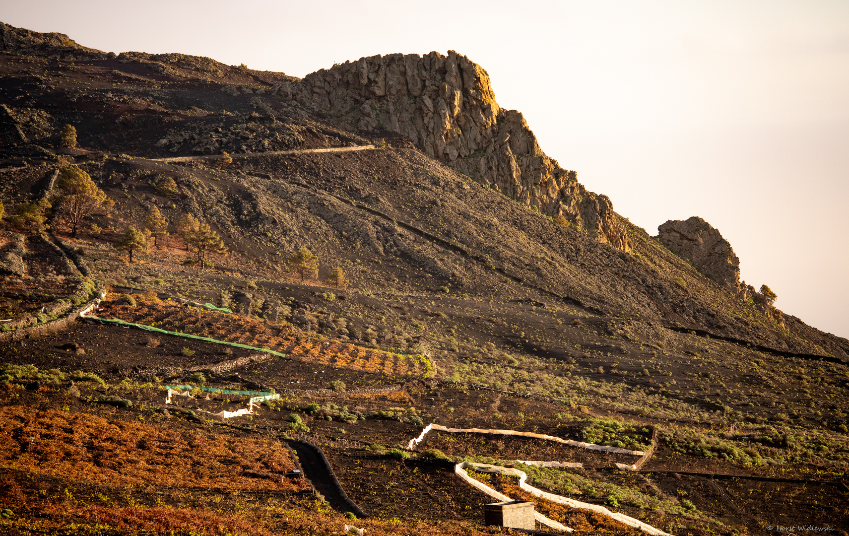 Roque de Teneguia