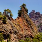 ROQUE DEL HUSO (CALDERA DE TABURIENTE). Dedicada a ADRIANA PRIETO.