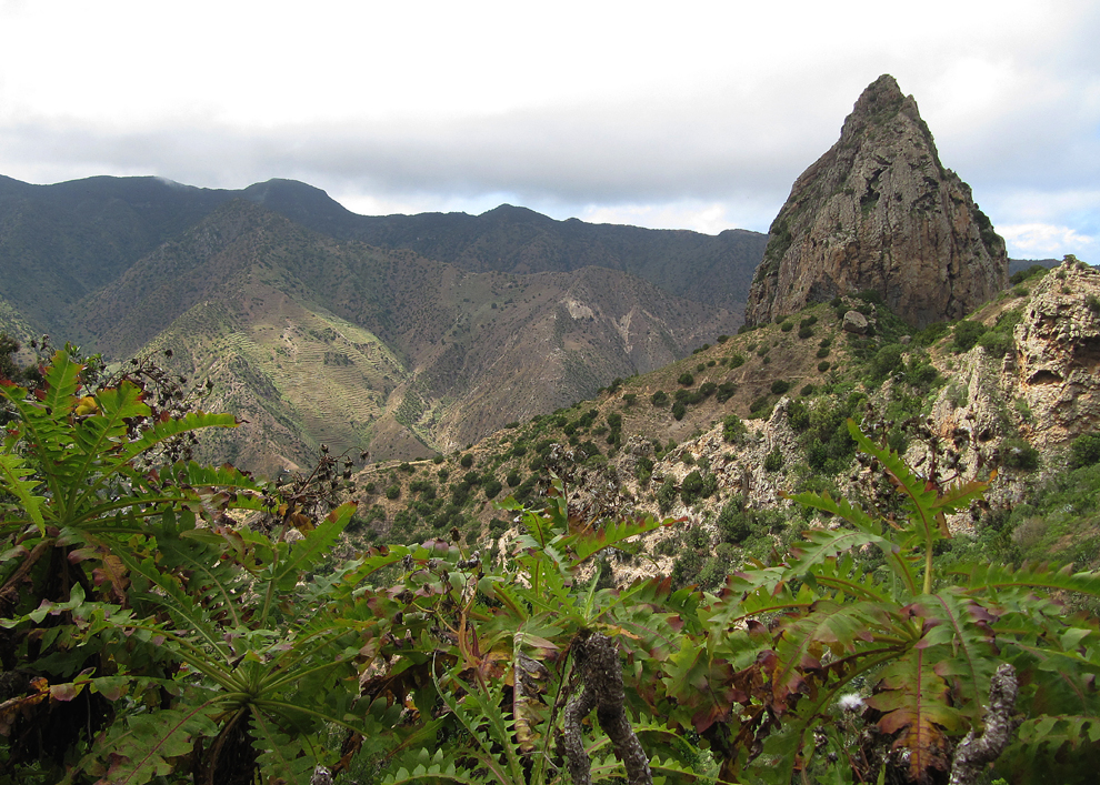 Roque El Cano