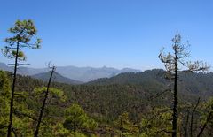 Roque Nublo