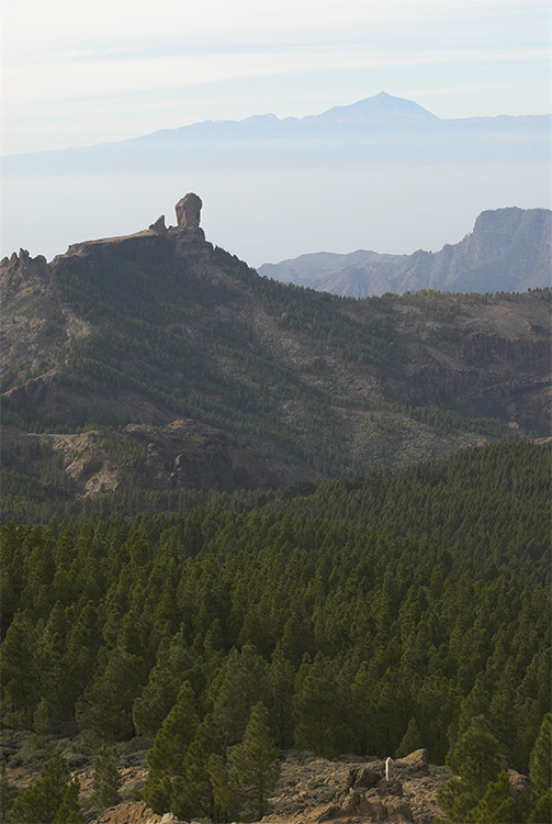 Roque Nublo