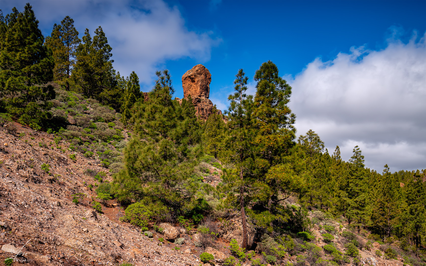 Roque Nublo 