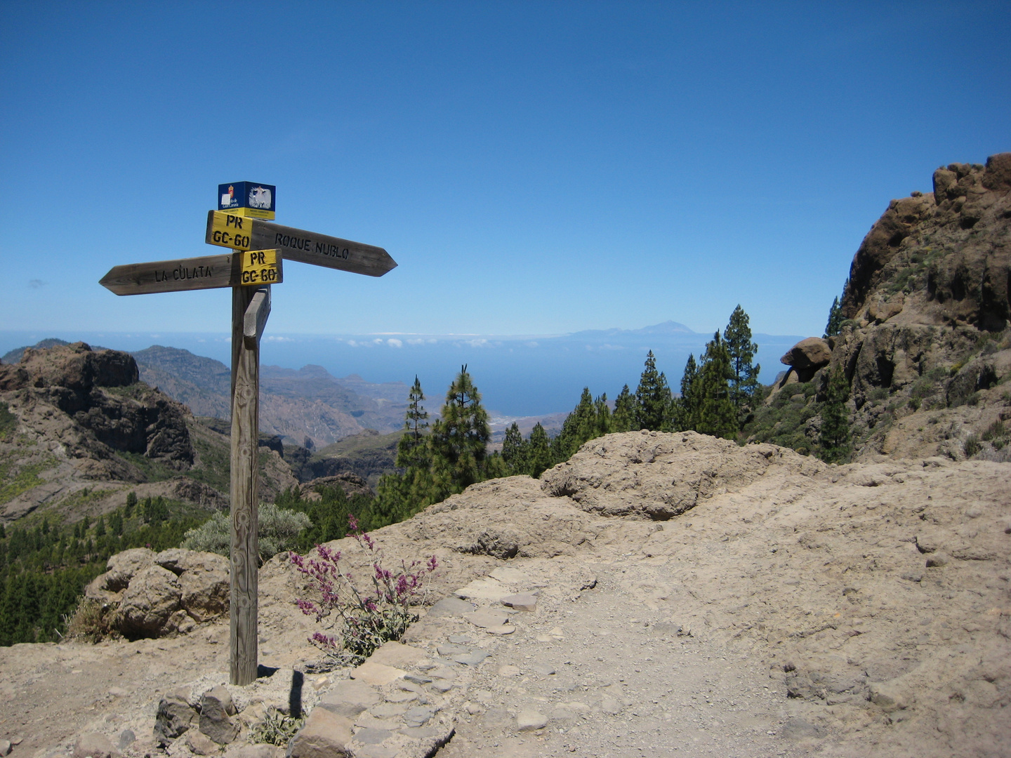 Roque Nublo