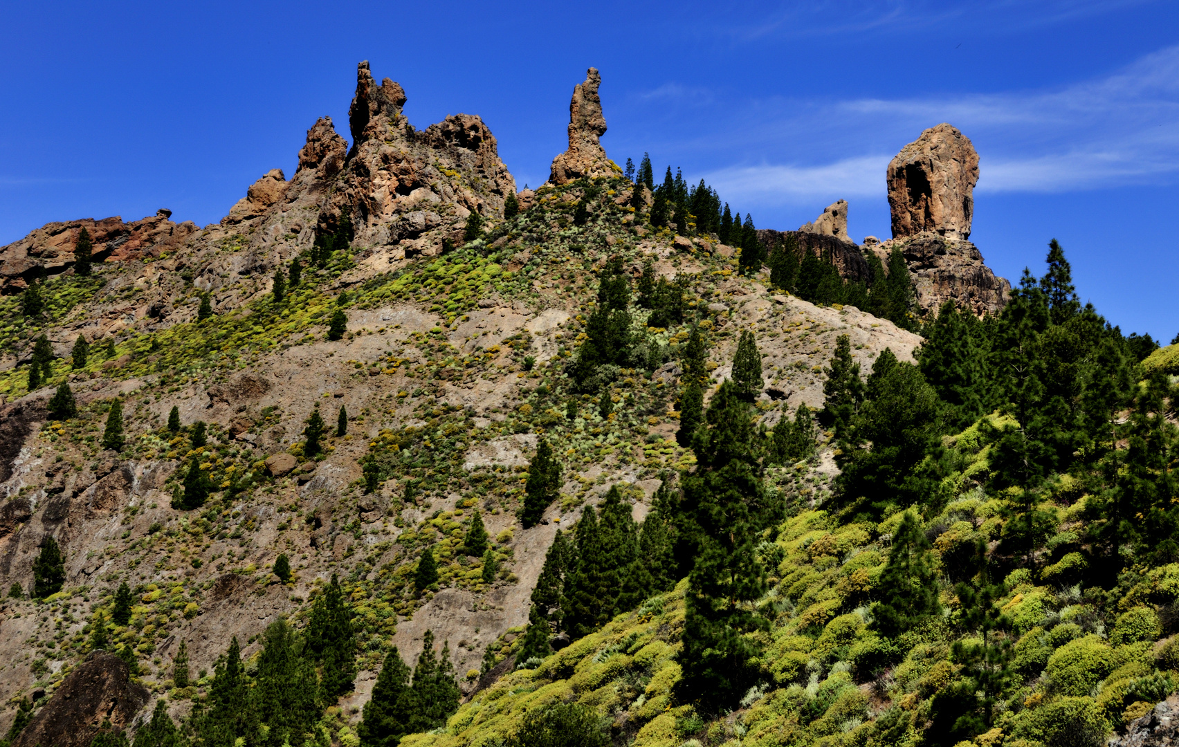 Roque Nublo